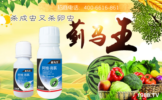 �����˹�r(n��ng)�I(y��)��ףȫ���������w�������f��������