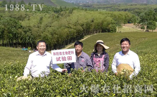 �ӱ����_������﹤�����޹�˾