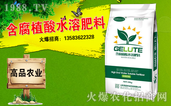 ��ɽ�|��Ʒ���o��Ұ�������ף��ؔԴ�V�M(j��n)�������³����f��������