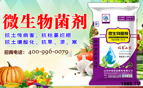 ��ɽ�|�ÿ͡�ף�����������w�������f(w��n)��������