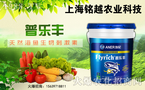 ���Խ�r(n��ng)�I(y��)��ף������µ�һ����ؔ(c��i)�\(y��n)�L�L������������