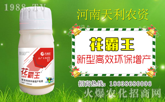 �������r(n��ng)�Y��ףԸһ·�������т����w�������i�꼪����