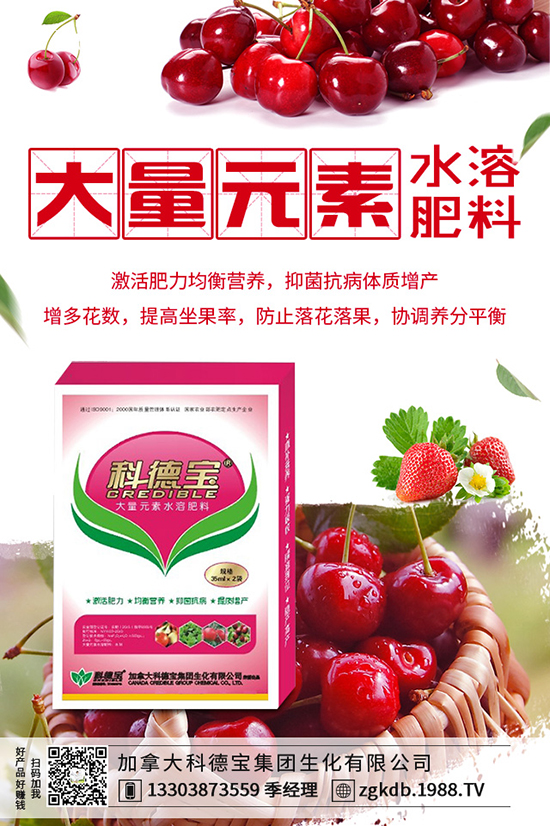 反季節(jié)種金針菇如何培育，反季節(jié)金針菇培育方法！