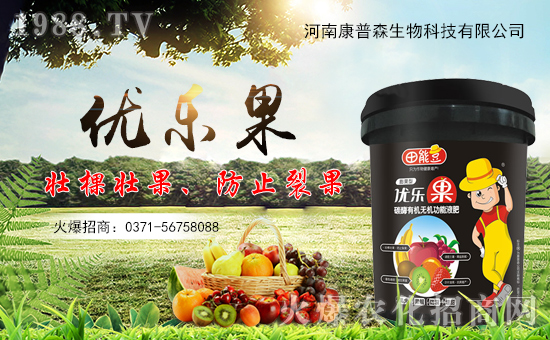 ���Ͽ���ɭ�𱬁��u���ٺ����r(n��ng)�����̾W(w��ng)�_��(chu��ng)���x����