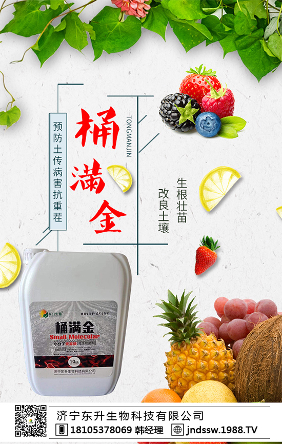 2019年10月12日第三季度磷銨市場行情及后世預測