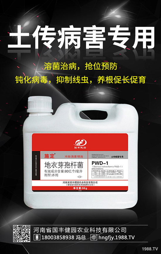 小麥除草劑什么時(shí)候打好，小麥打除草劑的時(shí)間及注意事項(xiàng)！