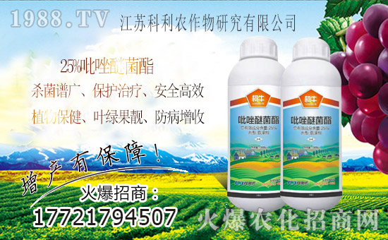 ���r(n��ng)���W(w��ng)ϲӭ���������y�ֿ�������ؔ(c��i)��֮·��