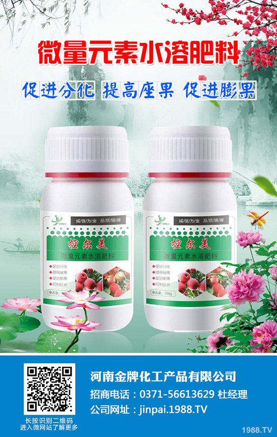 越冬萵筍怎么種？越冬萵筍的種植技巧！