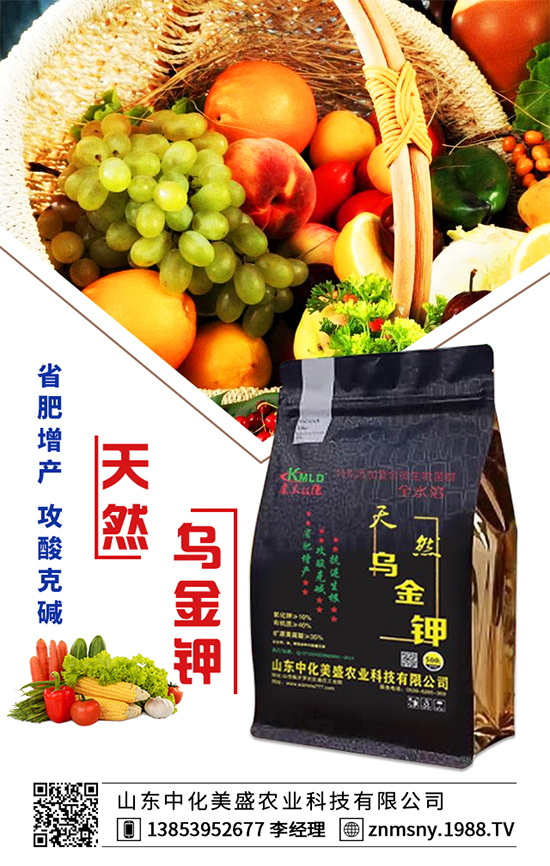 芹菜為什么會出現(xiàn)空心？芹菜空心的防治措施！