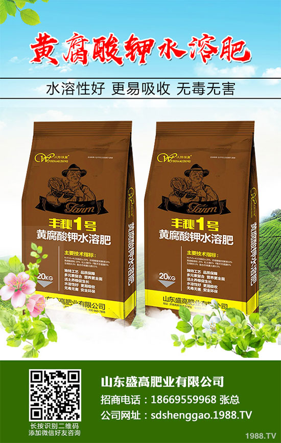 小白菜什么時候種植？小白菜高產種植技術