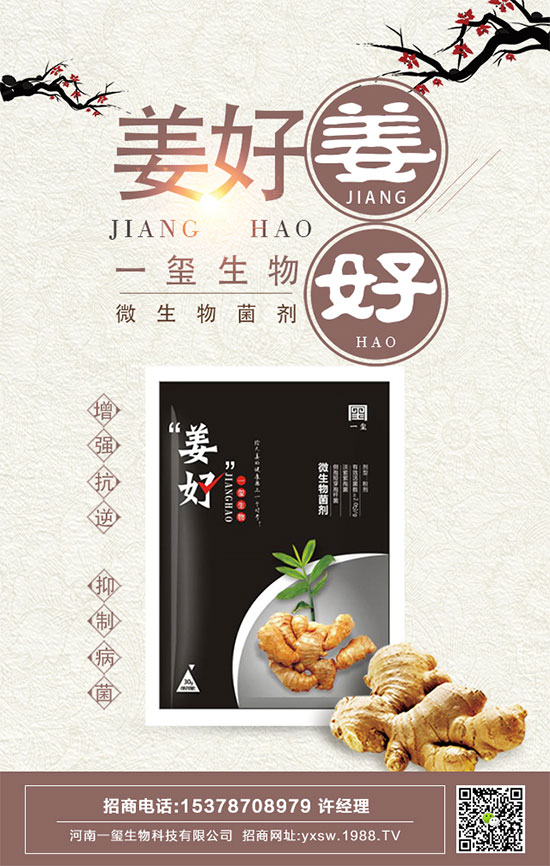 茄子的功效與作用,茄子的營養(yǎng)價值
