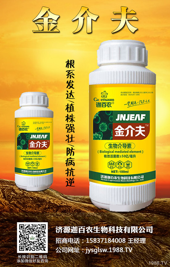 ���������o��������ô�k�������o���������\���c������