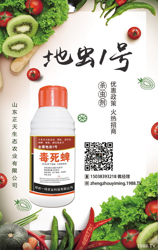 櫻桃蘿卜如何種植，櫻桃蘿卜需要注意什么？