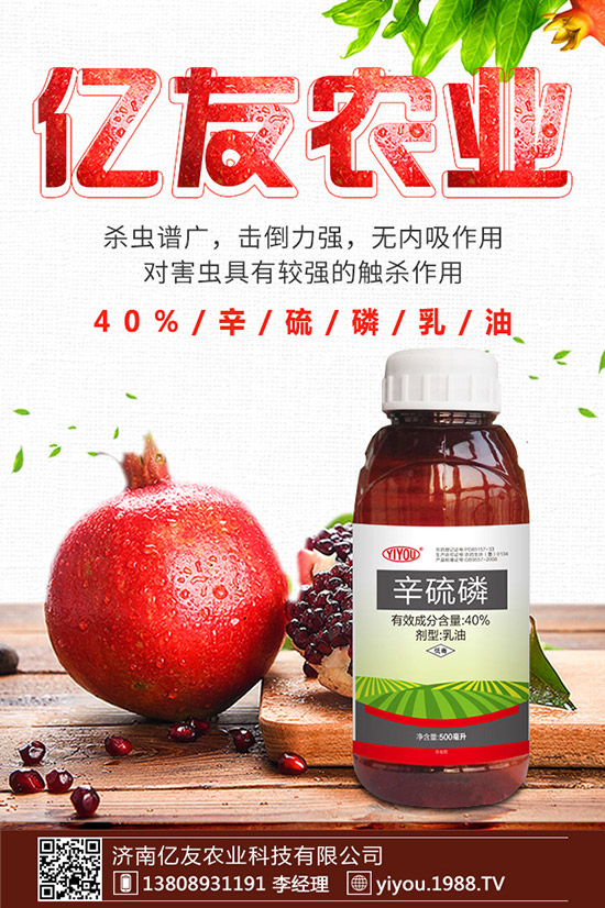 臘梅種子怎么種，臘梅種子種植方法！