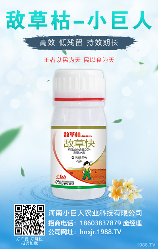 金銀花的種植技術(shù)？2020年金銀花種植前景分析