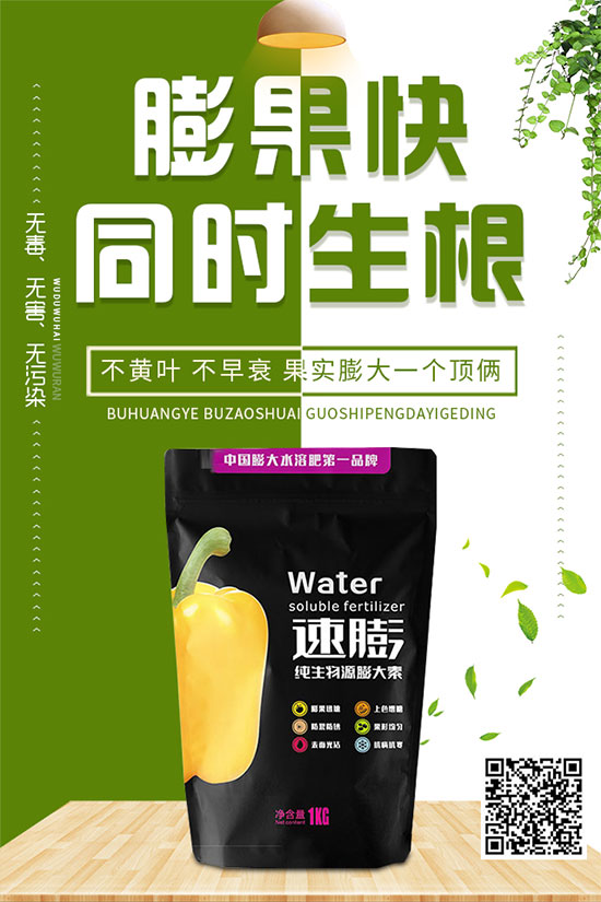 白菜霜霉病是如何引起的？有哪些危害？白菜霜霉病的預(yù)防措施