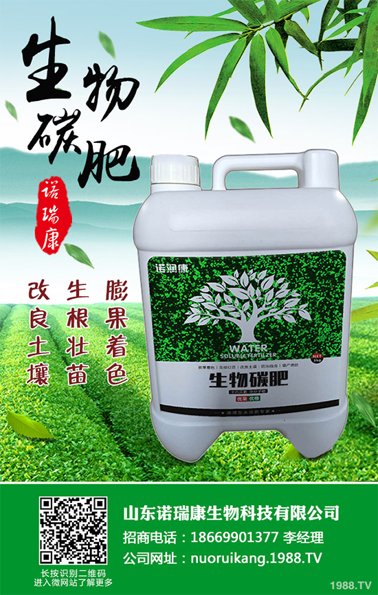 冬茬油麥菜該怎么種？掌握這幾點(diǎn)，輕松種出油麥菜！