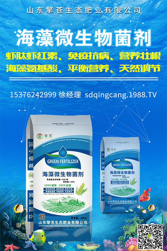 油麥菜霜霉病有哪些危害癥狀？有哪些表現(xiàn)？油麥菜霜霉病的防治措施