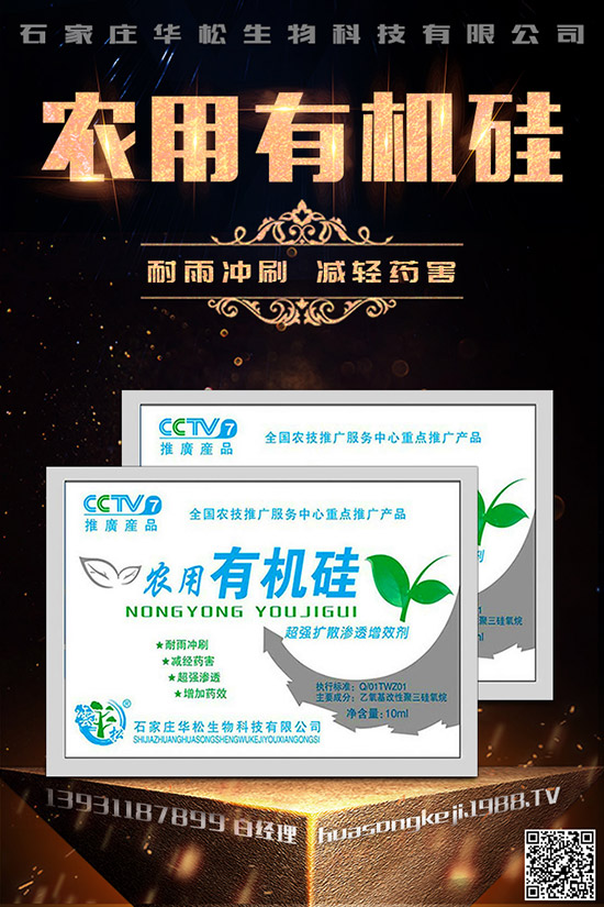 芹菜空心的原因是什么，如何預(yù)防芹菜空心？