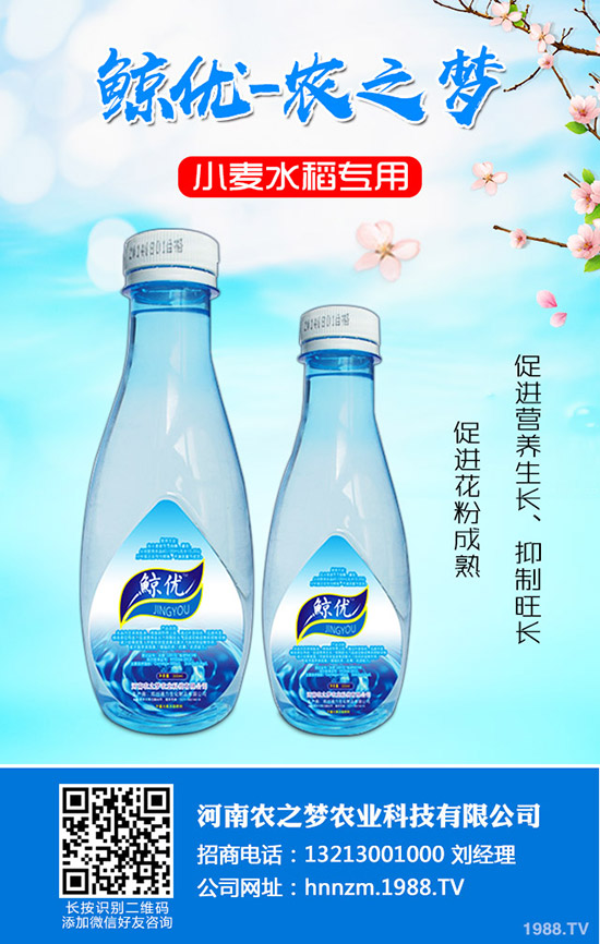 番茄缺鈣是什么表現(xiàn)？番茄補(bǔ)鈣措施！