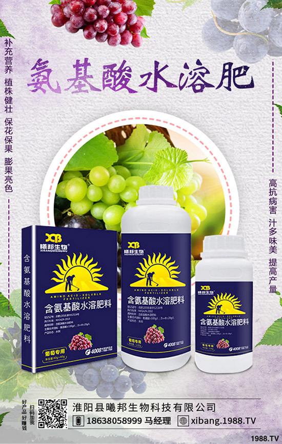 秋季蘿卜怎么種植，秋季蘿卜種植技術(shù)及栽培要點(diǎn)！