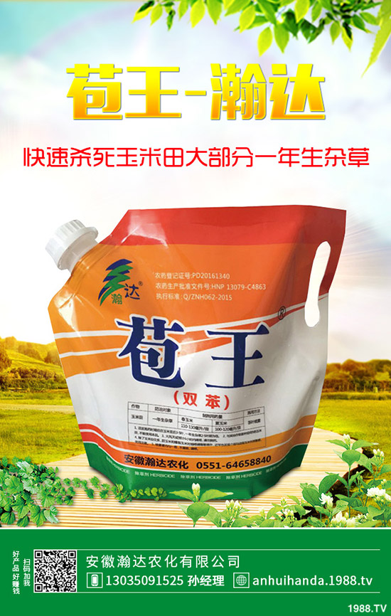 石楠花怎么種植？石楠花的養(yǎng)殖方法！