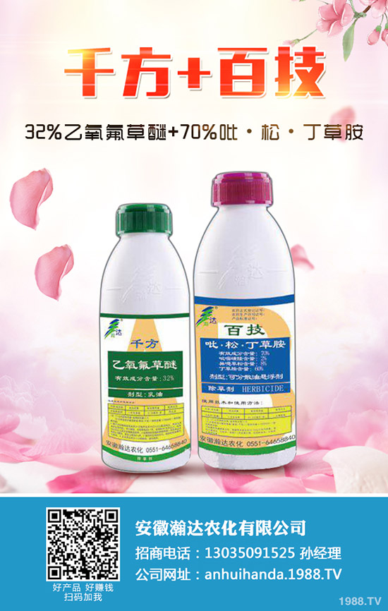 冬季馬鈴薯怎么種？冬季馬鈴薯栽培要點！