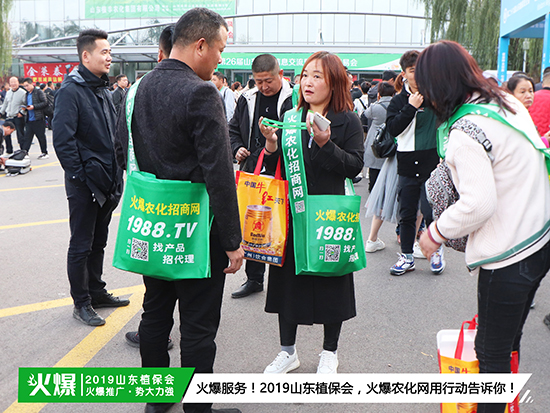 �F(xi��n)��(ch��ng)ֱ����2019ɽ�|ֲ����(hu��)ʢ���_(k��i)Ļ��ǧ�̅R�ۣ�����ȼ��ȫ��(ch��ng)!-5