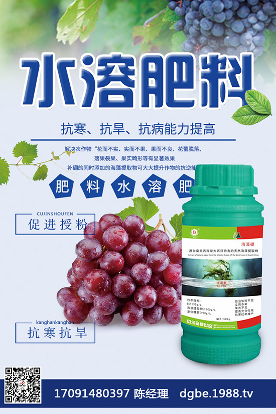 芒果怎么種才好？芒果高產(chǎn)種植技巧！