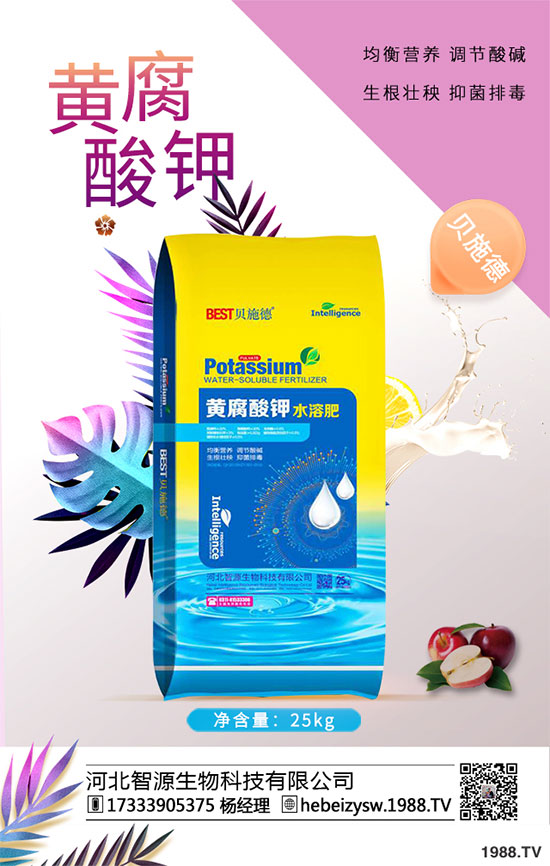 八月炸怎樣種植？八月瓜栽培技術(shù)！