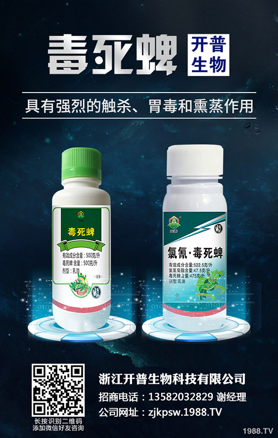 秋季種植哪些蔬菜好，秋季蔬菜種植指南！