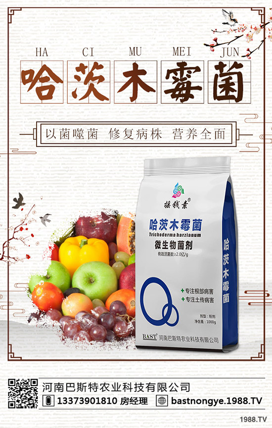 2019.10.9今日各地區(qū)復(fù)合肥出廠報(bào)價(jià)一覽