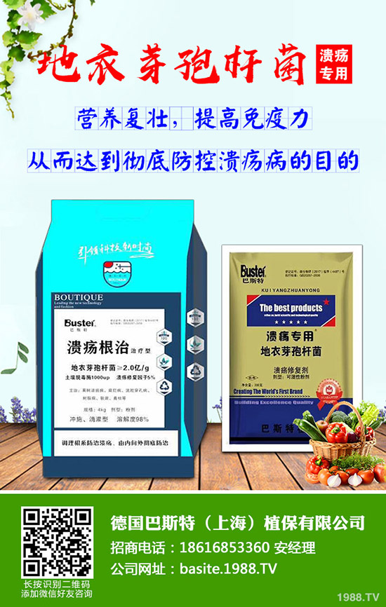 今日國內(nèi)各地磷銨最新報價及行情分析早報2019-10-9