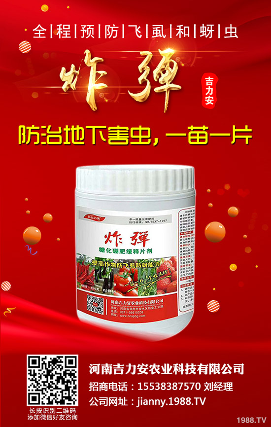 芹菜的功效與作用，哪些人不能吃芹菜？