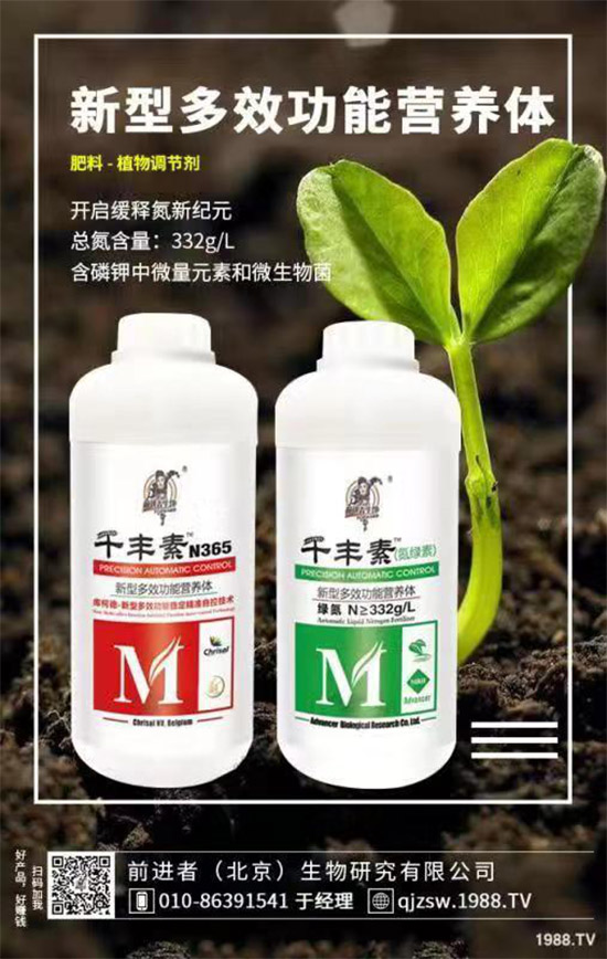 花生爛果怎么回事？花生爛果的防治措施！