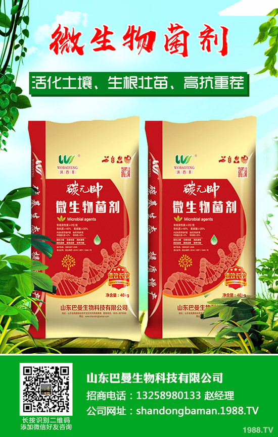 國內(nèi)磷酸價格下滑!2019年11月1日二銨今日最新行情分析!