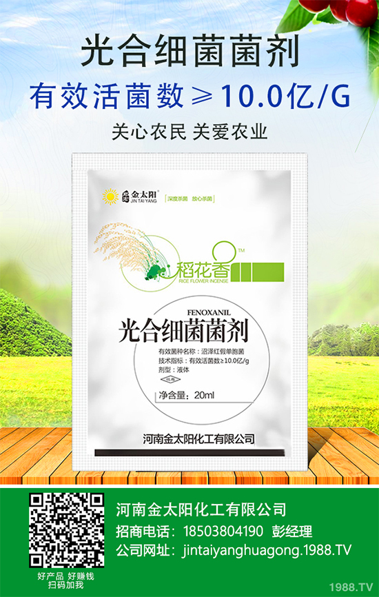 辣椒爛果多原因？辣椒爛果防治辦法！