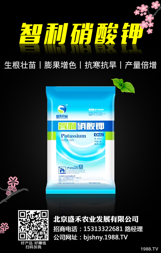 黑豆什么時(shí)候種植，黑豆的種植要點(diǎn)有哪些？