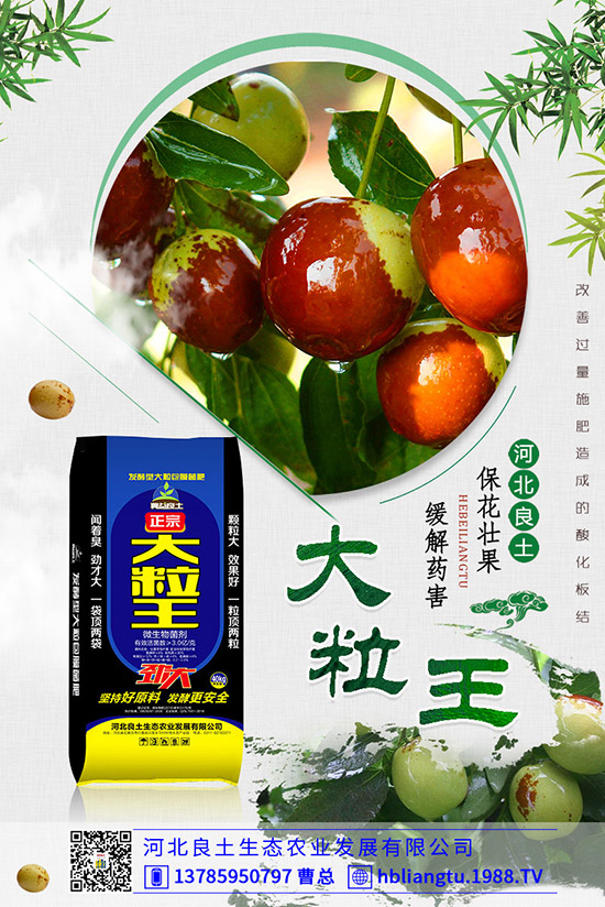 甜瓜落花落果原因有哪些？甜瓜如何提高座果率？