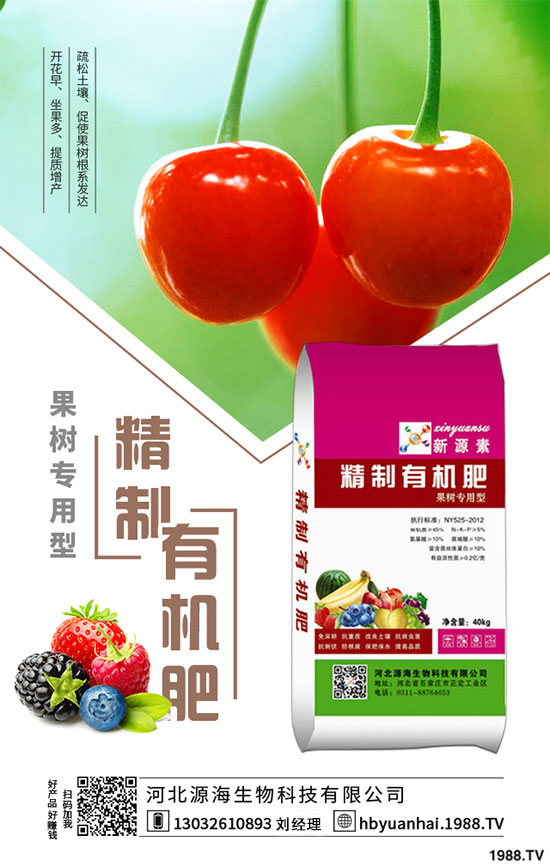 苦瓜種植施肥的兩大誤區(qū)，種植苦瓜需要注意哪些條件？