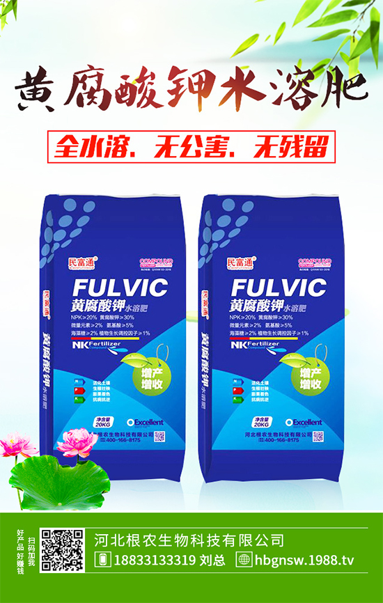 五味子樹該如何種植？五味子規(guī)模化種植技術