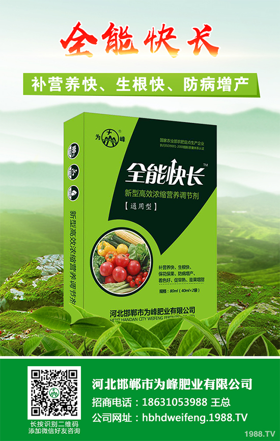 五味子樹該如何種植？五味子規(guī)?；N植技術