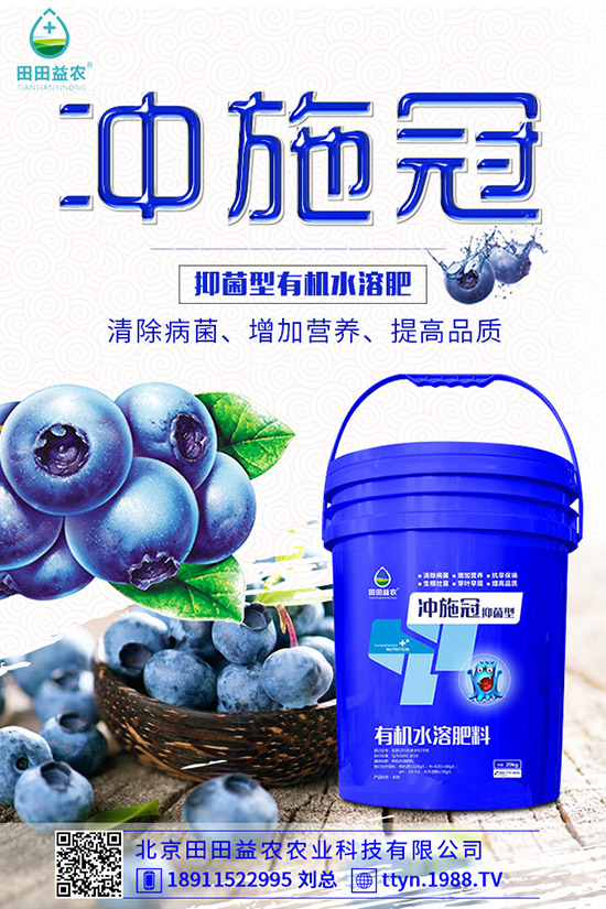 南瓜什么時(shí)候種植，南瓜的種植要點(diǎn)有哪些？