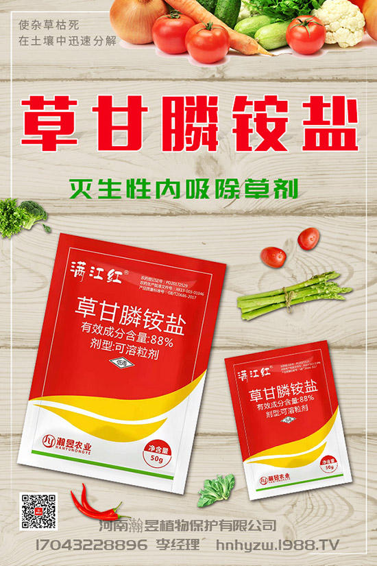 草莓根腐病得了根腐病咋辦？草莓根腐病發(fā)生條件、發(fā)病發(fā)癥狀及防治！