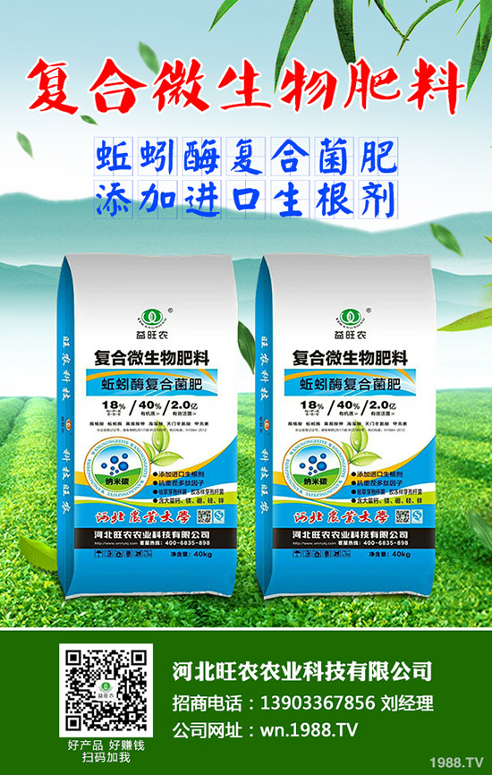 吃菠蘿蜜有什么好處，菠蘿蜜的功效與作用有哪些？