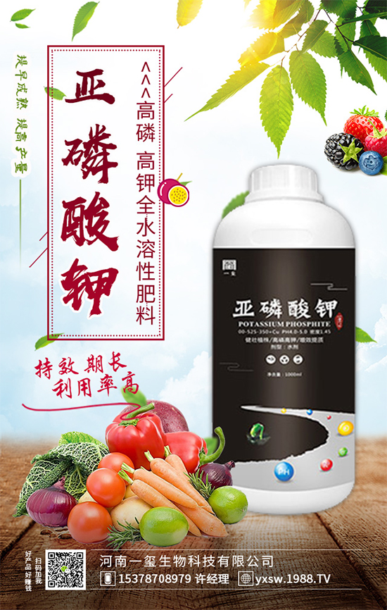 黃瓜畸形有哪幾種？黃瓜尖嘴瓜發(fā)生原因及預防措施！