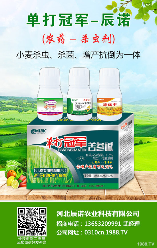 �}��������ʲôԭ���µ�������Щ���δ�ʩ��