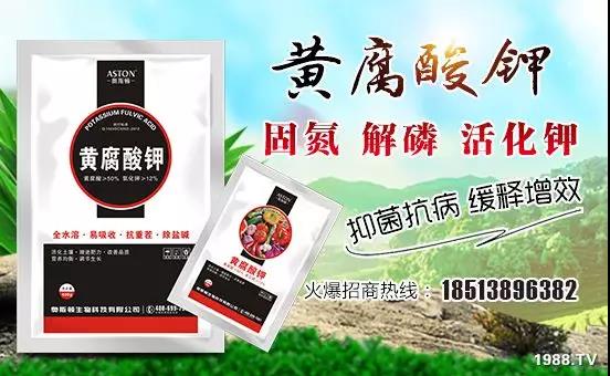 礦源黃腐酸鉀——精品肥!1公斤=8噸有機(jī)肥!新疆源頭直發(fā)!??!