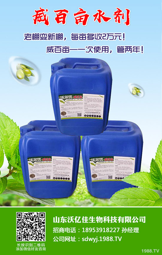 甜瓜什么時候種植？甜瓜怎么種植能高產(chǎn)？