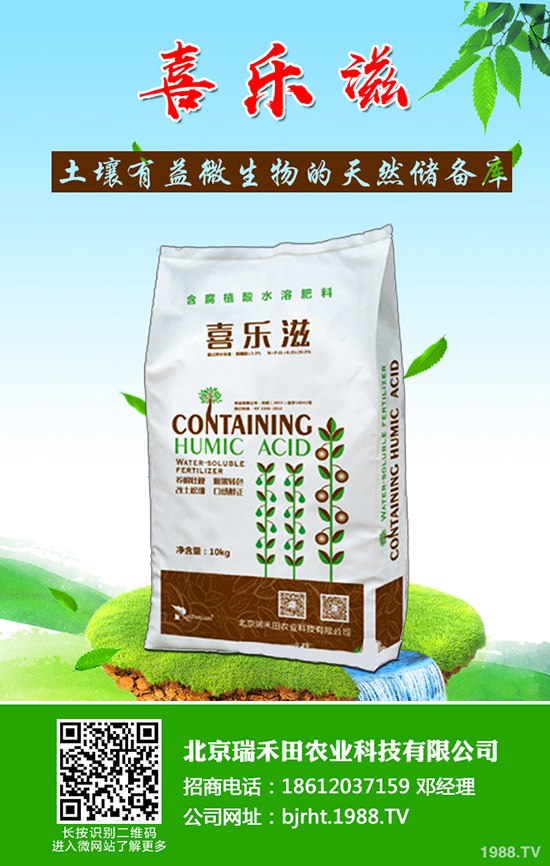 怎樣才能種好豆角呢？豆角的種植管理技巧！